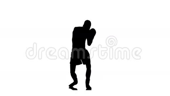 在训练中明确的磨练运动拳击手黑色轮廓视频的预览图