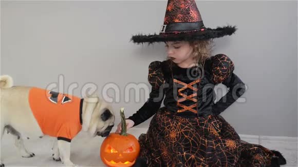可爱的女孩和她的小狗穿着万圣节的西装一个像巫师的孩子坐在地板上南瓜视频的预览图