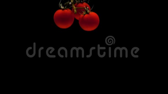 樱桃番茄枝条落在黑色背景的透明水中视频的预览图