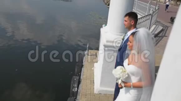 美丽的新郎和新娘在湖边的背景下沿着海滨的婚礼漫步视频的预览图