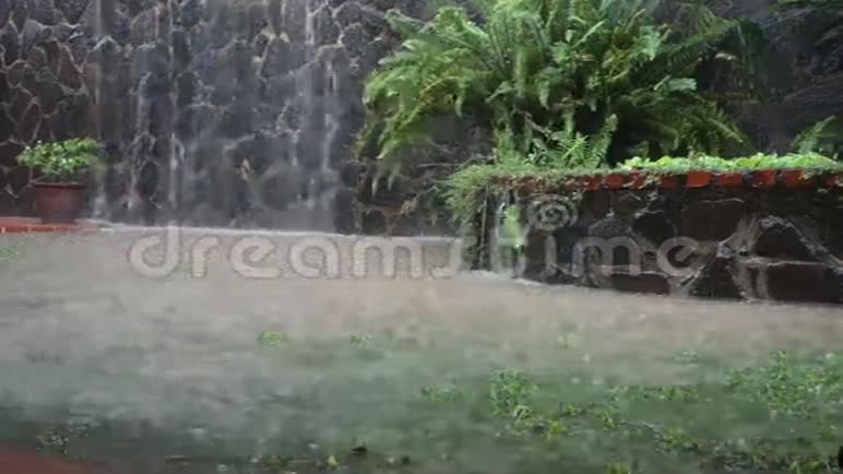 热带地区的暴雨视频的预览图