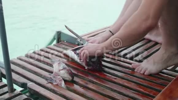 渔人用鱼的内脏在渔船上特写视频的预览图