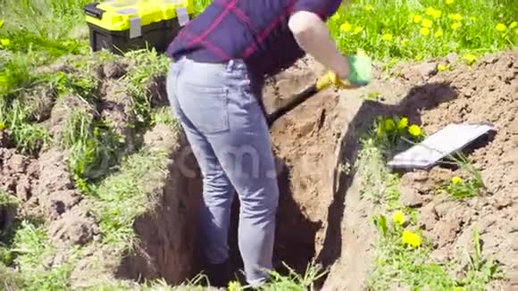 草地上的女生态学家在挖一个土缝视频的预览图