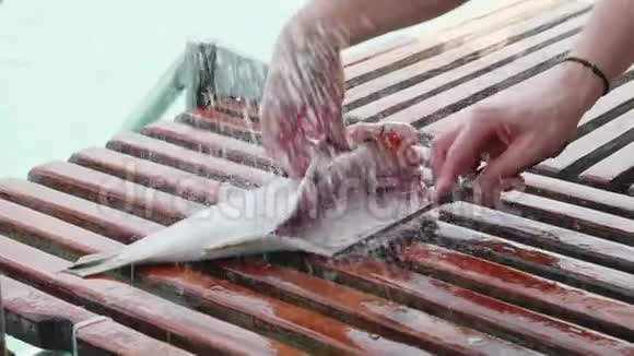 渔人用鱼的内脏在渔船上特写视频的预览图