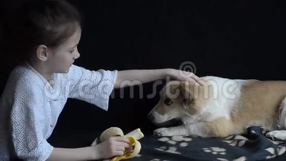 小女孩抚摸狗喂香蕉视频的预览图