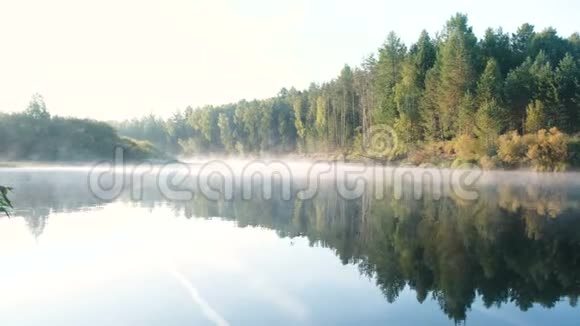 薄雾笼罩着河秋天美丽的森林景观反映在河岸上的水中视频的预览图