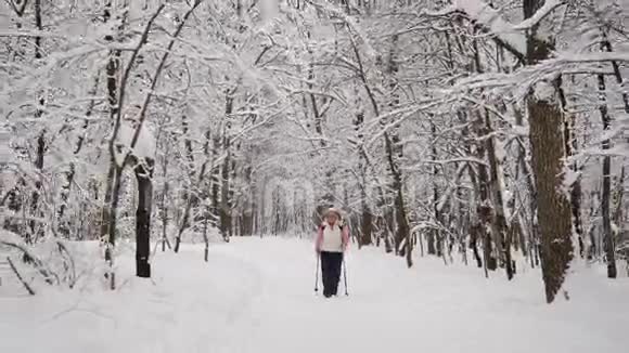 老年妇女从事一种新型的运动在冬季积雪覆盖的木材中行走北欧在职养恤金领取者视频的预览图
