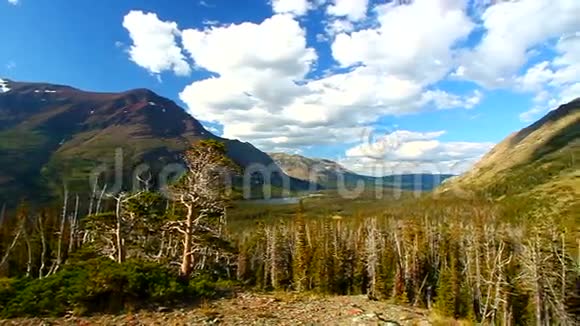 紫菀公园俯瞰蒙大拿视频的预览图