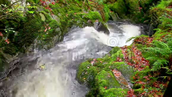 瀑布般的瀑布视频的预览图