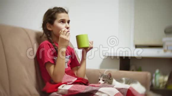 少女吃三明治喝茶看电视女孩吃三明治猫想在室内吃视频的预览图