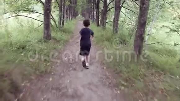 一个快乐美丽的小男孩跑过公园在一个夏天阳光明媚的日子里跳着笑视频的预览图