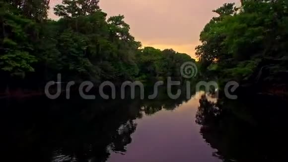 傍晚日落时的热带森林河流视频的预览图