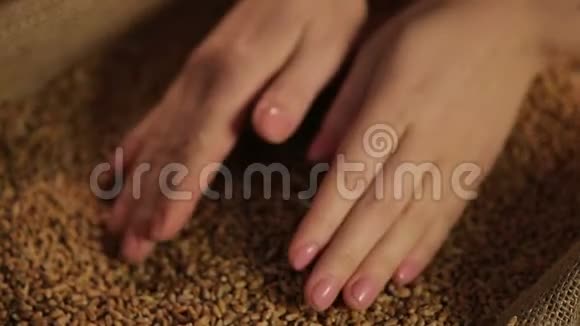 取一把小麦的人小心地倒在布上产品质量视频的预览图