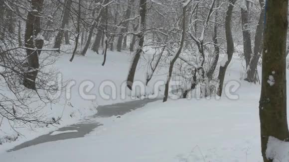 在结冰的小河上下雪视频的预览图