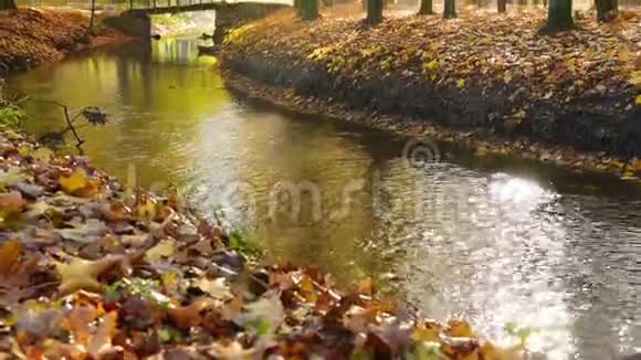 公园里的孤桥令人惊叹的秋天在托皮尔斯水文公园特诺皮尔市乌克兰欧洲强烈的阳光照射下视频的预览图