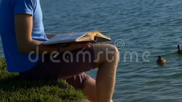 年轻人在湖边看照片棕色鸭子在附近游泳视频的预览图
