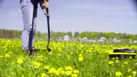 草地上的女生态学家在挖一个土缝视频的预览图