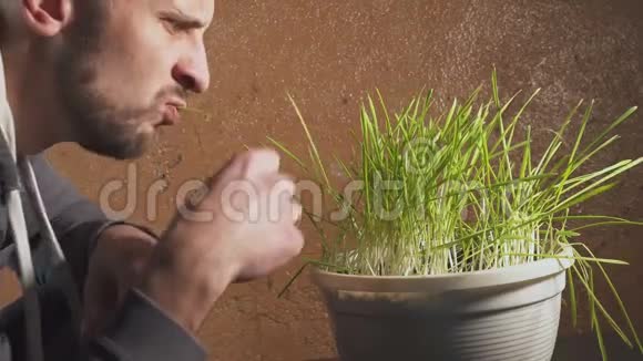 有趣的人吃生草关于原始饮食的概念笑话视频的预览图