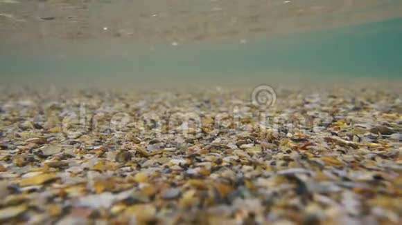 小贝壳在水下的缓慢运动视频的预览图