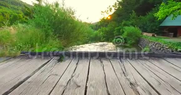 野生河流绿色景观视频的预览图