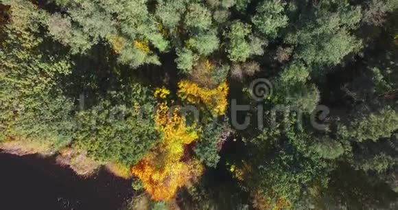 大自然的水在绿树之间流动令人叹为观止的蜿蜒河流的色彩视频的预览图
