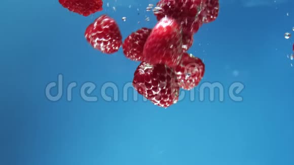 许多红树莓在蓝色背景下落入水中视频的预览图