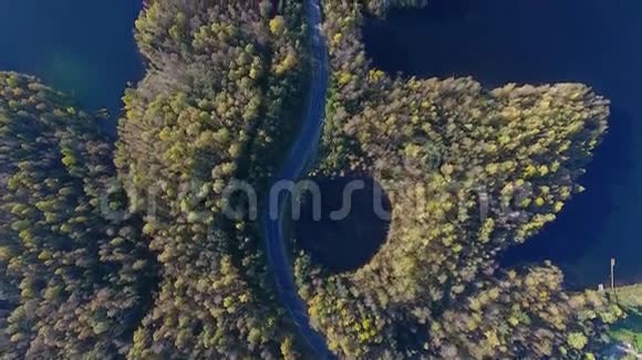 秋天森林道路和河流的俯视图视频的预览图