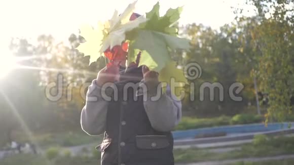 微笑的小男孩在公园里玩秋天黄枫叶视频的预览图