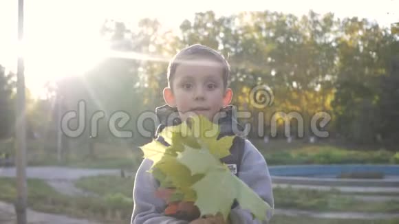 微笑的小男孩在公园里玩秋天黄枫叶视频的预览图