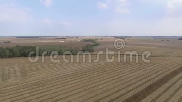 令人惊叹的空中无人机4k全景观看巨大的有机小麦耕种场准备在夏季阳光明媚的日子收割庄稼视频的预览图