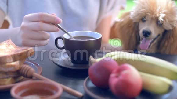 影院早餐妇女在露台上享用早间咖啡视频的预览图