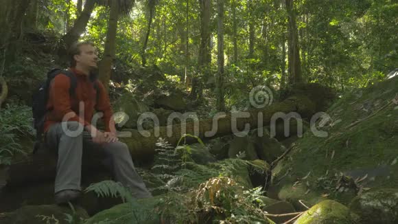 背着背包的男人坐着看雨林森林绿色旅游视频的预览图