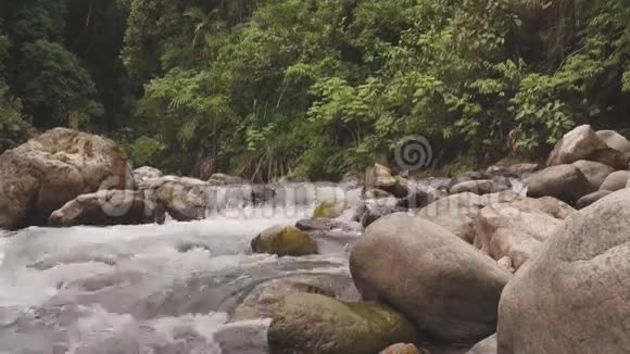 丛林里的河流视频的预览图