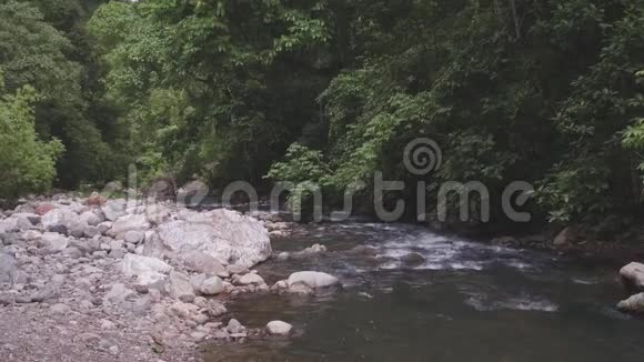 丛林里的河流视频的预览图