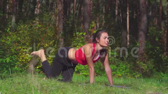 健身女孩在户外接受自然景观运动和健康生活方式的训练视频的预览图
