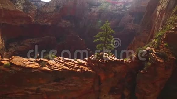 女旅行者穿越红砂石崖山峡谷洞穴令人惊叹的4k空中无人机景观视频的预览图