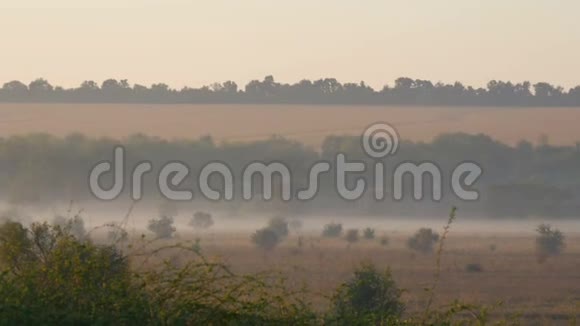 美丽的雾的景色笼罩着村庄的平原视频的预览图