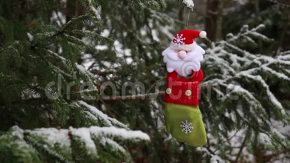 圣诞作文圣诞图案有橘子杉枝取而代之的是云杉和普通话树枝的愁容视频的预览图
