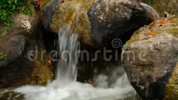 美丽的高山白水溪在陡峭的河床上小瀑布和瀑布落在苔藓的岩石上视频的预览图