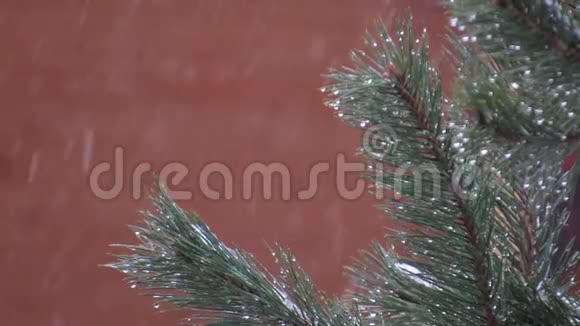 松枝和红色背景下的雪视频的预览图