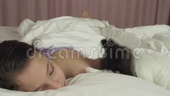 帕皮龙狗吵醒了床上的少女股票录像视频的预览图