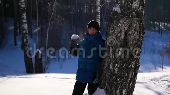 孩子们把雪洒在自己身上在冬天的公园里享受它冬天阳光明媚视频的预览图