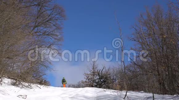 一个女孩正走在白雪覆盖的森林里徒步旅行冬季景观视频的预览图