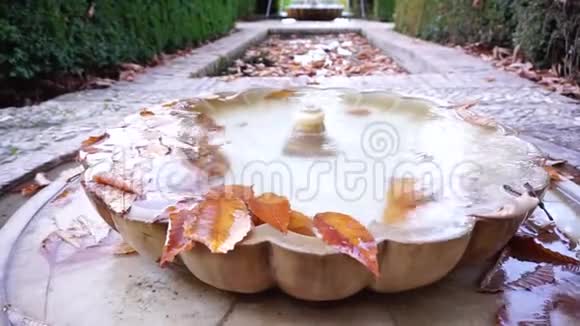 格拉纳达地板上典型的喷泉视频的预览图