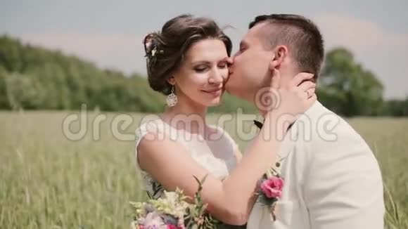 新婚之日幸福的爱情伴侣在麦田里分享亲密的时刻新娘和新郎温柔地接吻视频的预览图