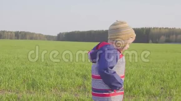 一岁男孩带着小麦子去田里视频的预览图