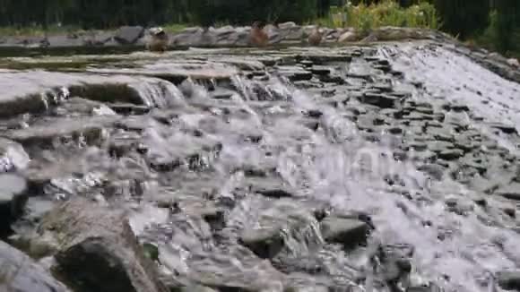 公园里的小瀑布侧视图视频的预览图