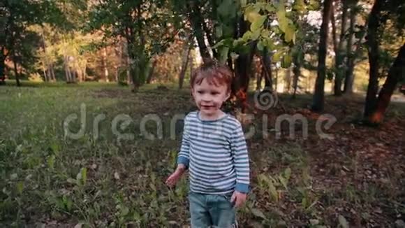 一个可爱的小男孩在阳光明媚的夏日在公园里快乐地走在草地上慢节奏视频的预览图