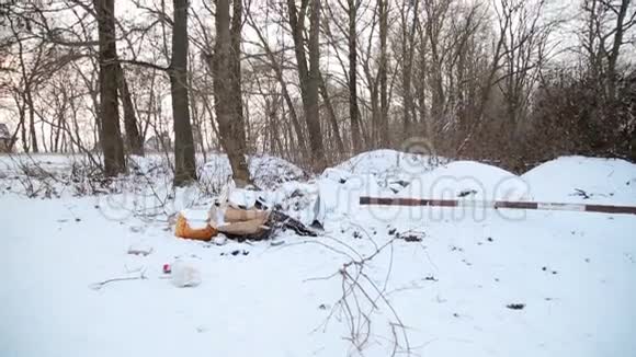 森林冬天的垃圾视频的预览图
