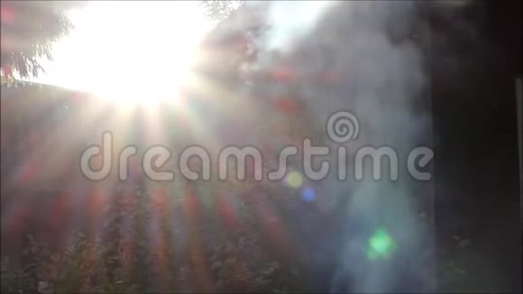 在夕阳的照耀下从火中冒出的烟雾视频的预览图